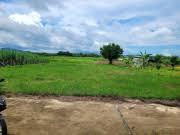 Chính chủ bán đất tại thôn vĩnh đông, cam an nam, cam lâm, khánh hòa, 500m2 giá 11 tỷ