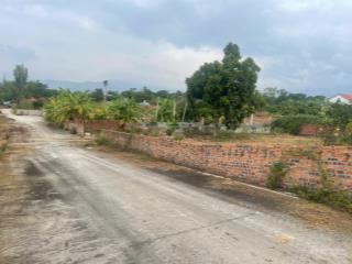 Bán đất ở tại yên sinh, phường tràng an (nay là p. bình khê) đông triều quảng ninh 220m2 4.84 tỷ