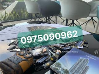 [chuyển nhượng]chính chủ gửi bán căn góc 2pn2wc full nội thất sổ sẵn chung cư the emerald golf view