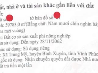 Chuyển nhượng lô đất nhà xưởng 7 ha trung mỹ, bình xuyên, vĩnh phúc, thuế 1 lần