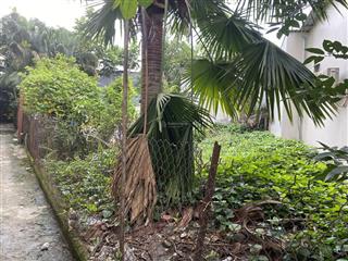 Bán đất cln hẻm nguyễn thị định  an phú  quận 2  đất trống