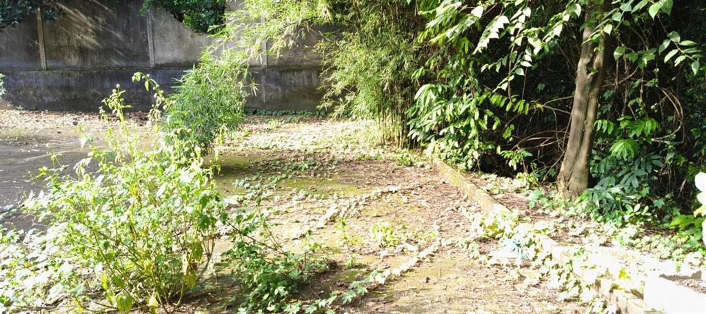 Bán đất tại khu phố đông tư phường lái thiêu, tp. hcm. giá cực chất 6,5 tỷ cho 268m2