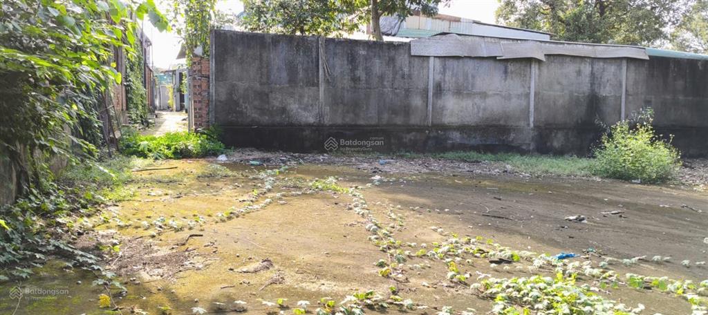 Bán đất tại khu phố đông tư phường lái thiêu, tp. hcm. giá cực chất 6,5 tỷ cho 268m2