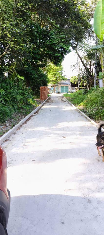 Bán đất tại khu phố đông tư phường lái thiêu, tp. hcm. giá cực chất 6,5 tỷ cho 268m2