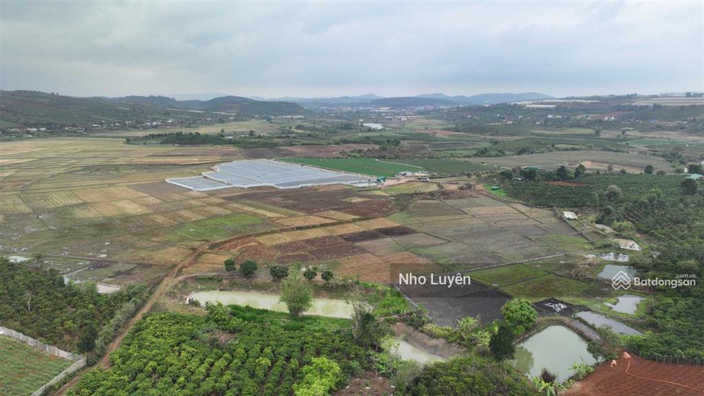 Cần bán 8000m2 đất vườn đất đỏ bazan đang trồng laghim, cách ubnd xã tà hine 2km. chỉ 2.5 tỷ