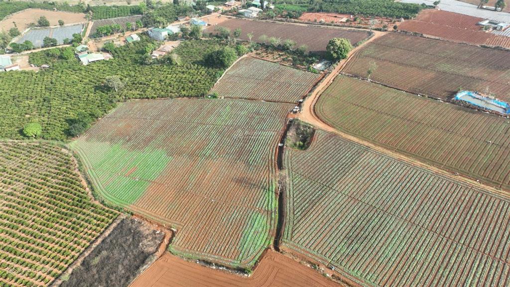 Cần bán 8000m2 đất vườn đất đỏ bazan đang trồng laghim, cách ubnd xã tà hine 2km. chỉ 2.5 tỷ