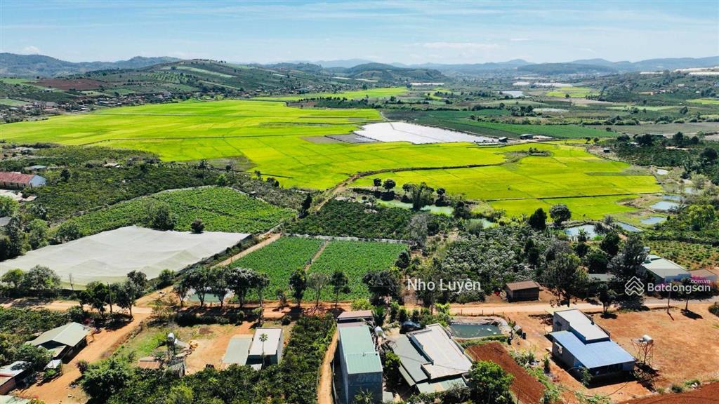 Cần bán 8000m2 đất vườn đất đỏ bazan đang trồng laghim, cách ubnd xã tà hine 2km. chỉ 2.5 tỷ