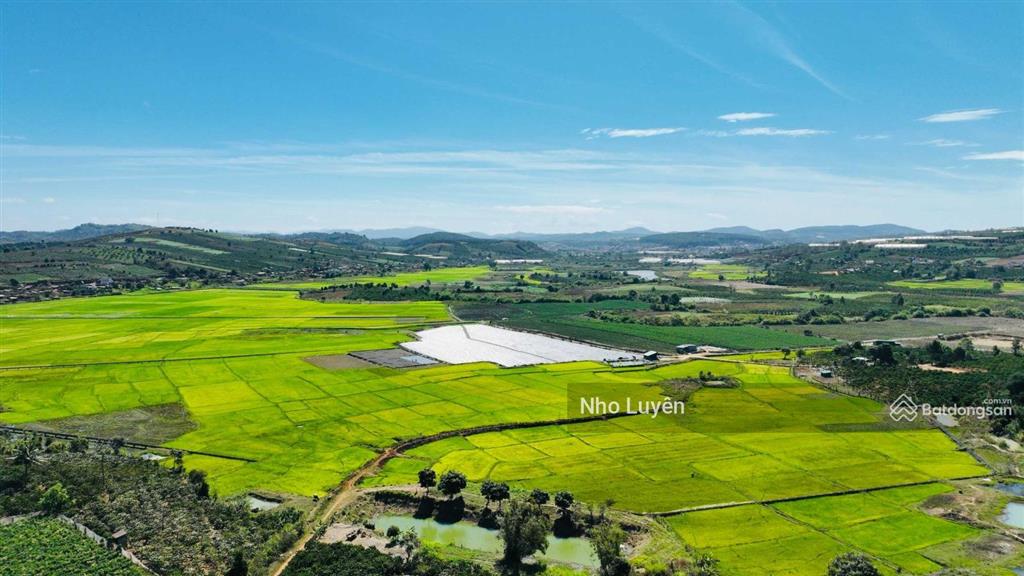 Cần bán 8000m2 đất vườn đất đỏ bazan đang trồng laghim, cách ubnd xã tà hine 2km. chỉ 2.5 tỷ