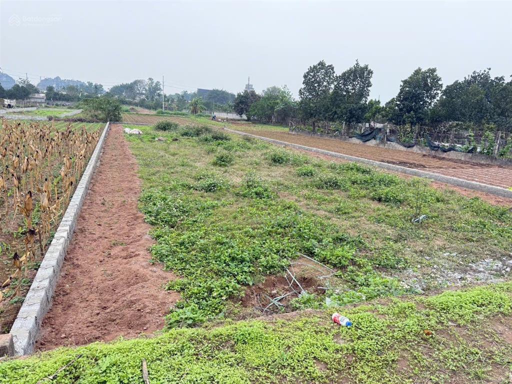 Chính chủ cần tiền bán 456m2 đất vườn  nghỉ dưỡng, giá thoả thuận.  0938 613 ***