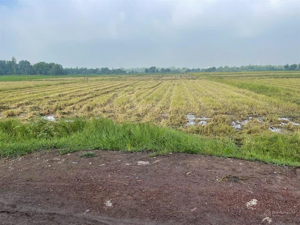 Bán rẻ đất mặt tiền nguyễn thị ly, xã xuân thới sơn, huyện hóc môn, dự án 3,5 tỷ đô