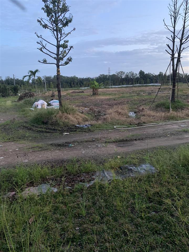 Bán rẻ diện tích lớn đất 3 mặt tiền tân nhiễu và t11, huyện bình chánh kế bên chợ bình điền