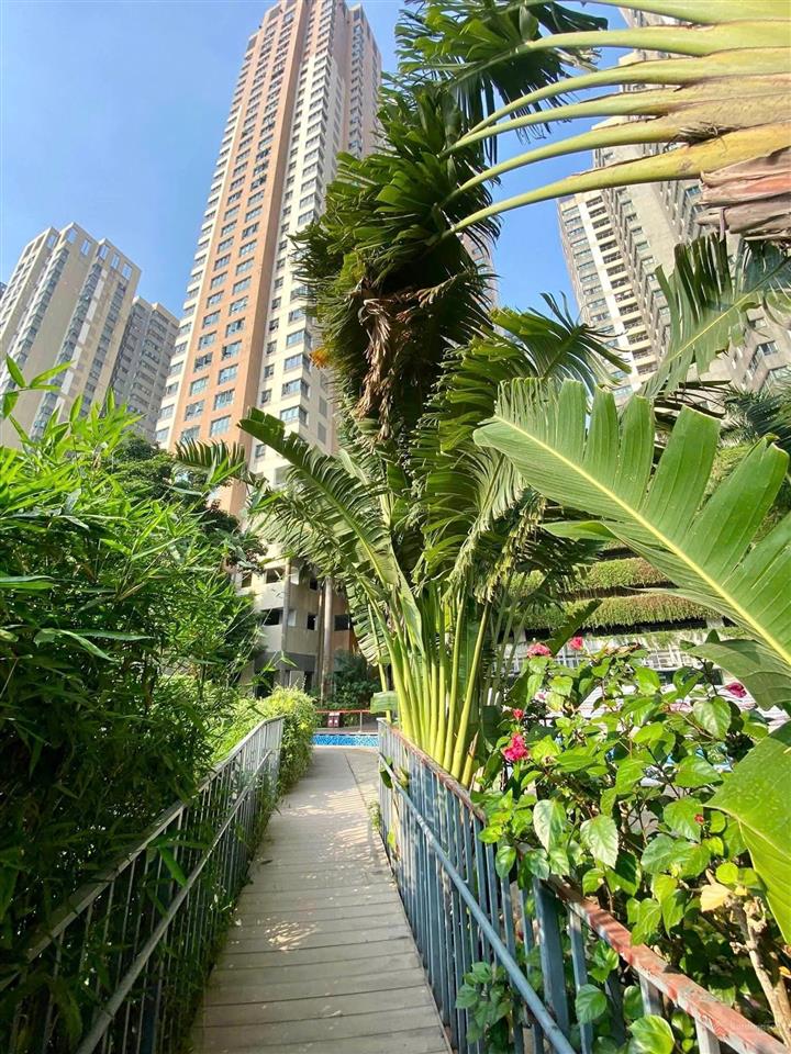 Bán gấp căn hộ 90m2 thiết kế 3pn giá tốt tại mulberry lane, mỗ lao, hà đông, hà nội