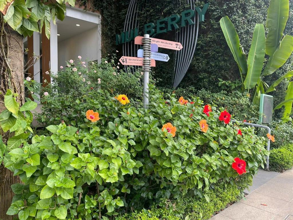 Bán gấp căn hộ 90m2 thiết kế 3pn giá tốt tại mulberry lane, mỗ lao, hà đông, hà nội