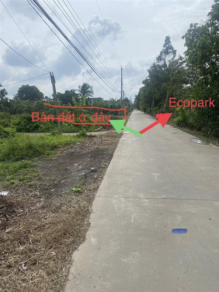 Bán nền thổ cư mặt tiền đường liên ấp 3  4, thanh phú, giáp ranh dự án ecopark