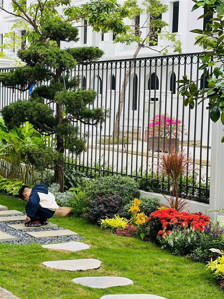 Bán nhanh căn biệt thự solasta mansion kđt dương nội dt 170m2 giá 27.5 tỷ sổ đỏ