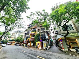 Hiếm, mặt ngõ, kinh doanh, ô tô, vỉ hè phố nguyên hồng 52m2 5 tầng giá 23.8 tỷ bán  0898 309 ***