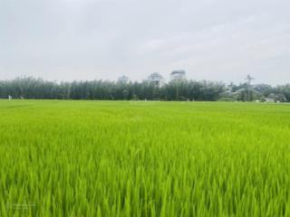 300 m2 cẩm thanh gần lúa, thích hợp làm homestay