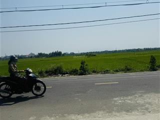 View lúa phía sau siêu phẩm còn sót lại duy nhất tại làng an mỹ cẩm châu, khu phố người nước ngoài