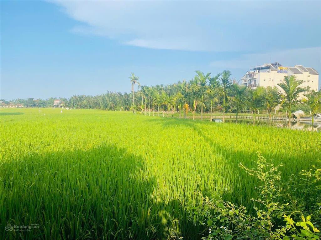 Bán đất 545m2 tại cẩm thanh, hội an, quảng nam, 30 triệu / m2