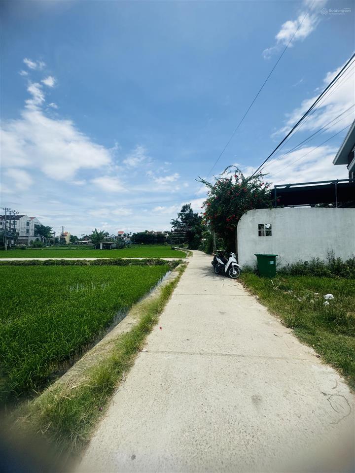 View lúa mặt trước mặt sau khu vực nhiều villa khách sạn, vị trí đẹp, dân trí cao, không lụt