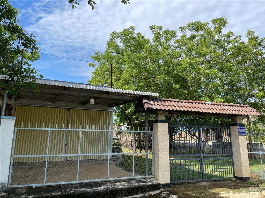 Chính chủ có lô đất cần bán tại phước vinh  ninh phước  ninh thuận, giá tốt nhất khu vực
