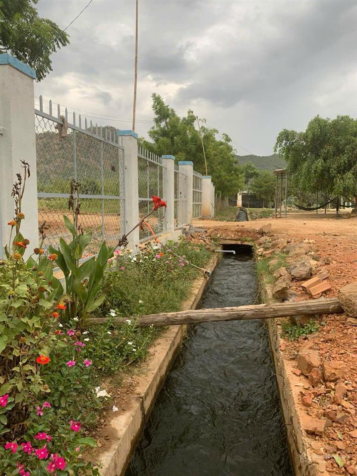 Chính chủ có lô đất cần bán tại phước vinh  ninh phước  ninh thuận, giá tốt nhất khu vực