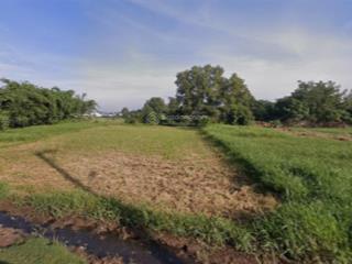 Bán gấp 6ha đất mặt tiền đường 111 bến than, tân thạnh đông, củ chi  giá tốt