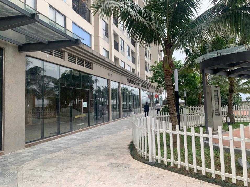 Bán shop c2s10 d'capitale 236m2, sẵn sổ đỏ, chỉ 1xxtr/m2 ,đang cho aeon thuê 150tr/th ký 10 năm