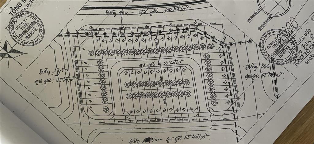 Cập nhật bảng giá dự án đại kim định công mở rộng, hàng hiếm giá 7x triệu/m2