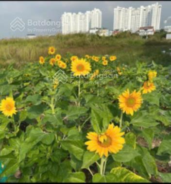 Bán nền biệt thự làng sỹ quan thái sơn 1, bộ quốc phòng dt(10x25m) lô b8 đường 12m giá 72tr/m2