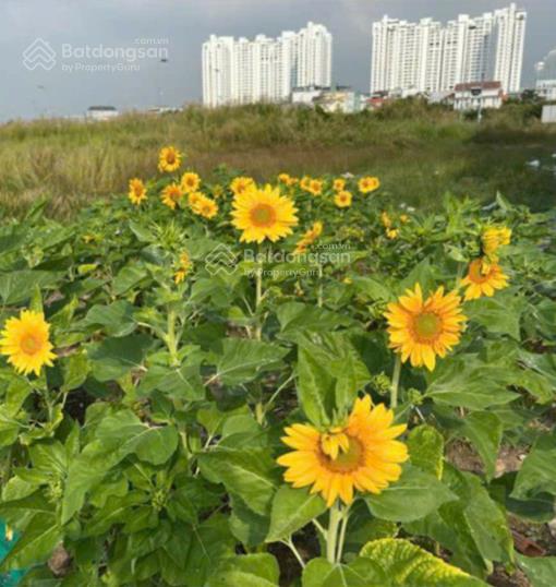 Chính chủ bán nền biệt thự làng sỹ quan thái sơn 1, bộ quốc phòng dt 250m2, đường 12m, giá 68tr/m2