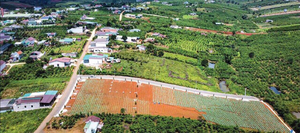 Bán lô đất thổ cư 520m2 chợ lộc quảng, liền kề khu homestay
