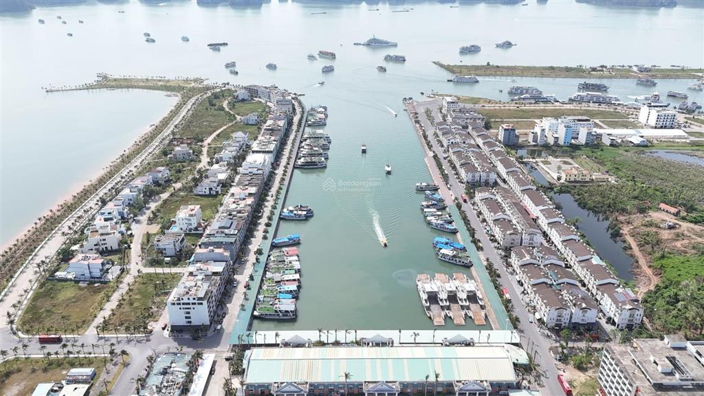 Nhà phố mặt âu tầu 1 tuần châu giá tốt