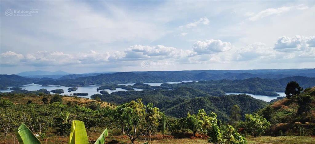 Bán đất view hồ kế khu du lịch chú đông. dt 13000m2