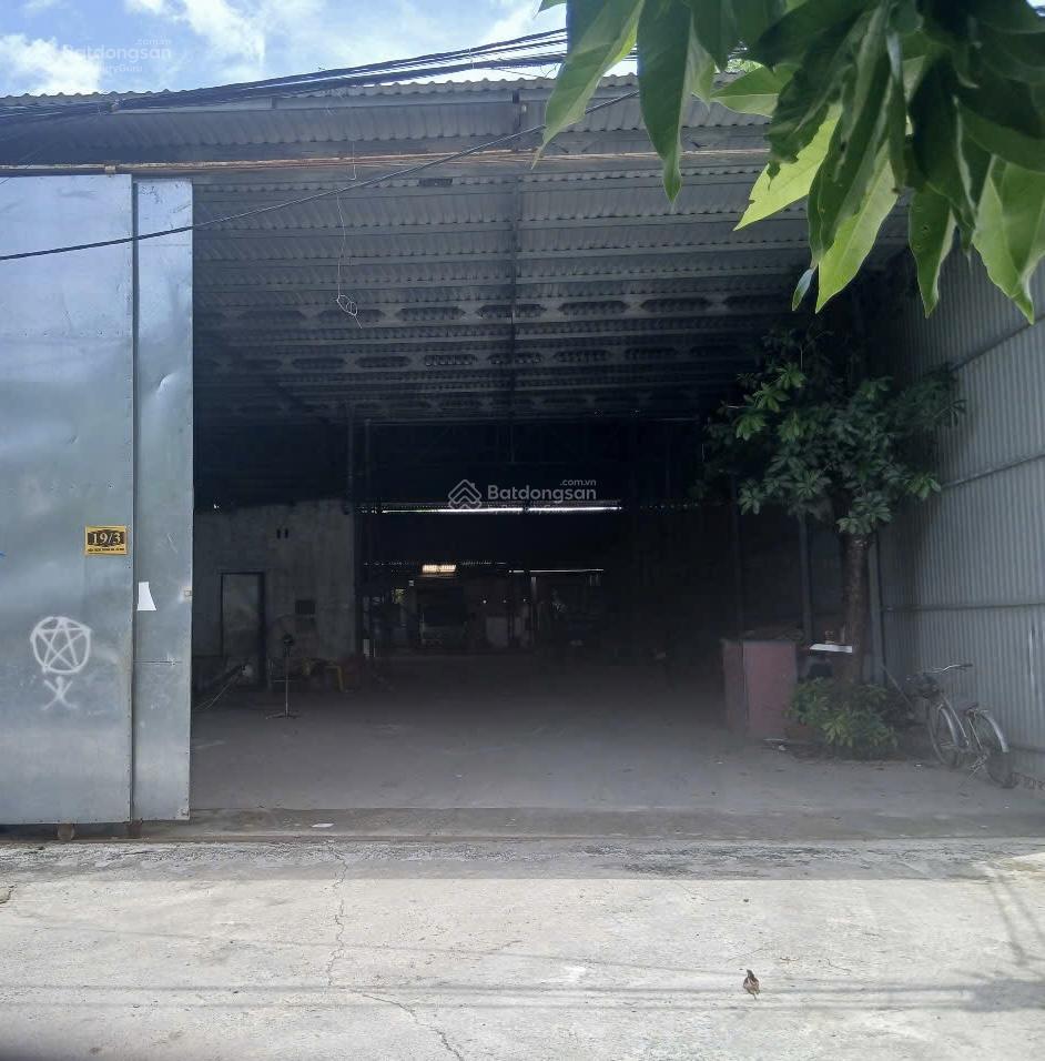 Cho thuê 1000m2 / 25tr / trung an, củ chi
