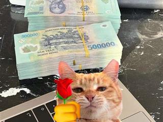 Cần bán kho xưởng hiệp thành quận 12  1100m2