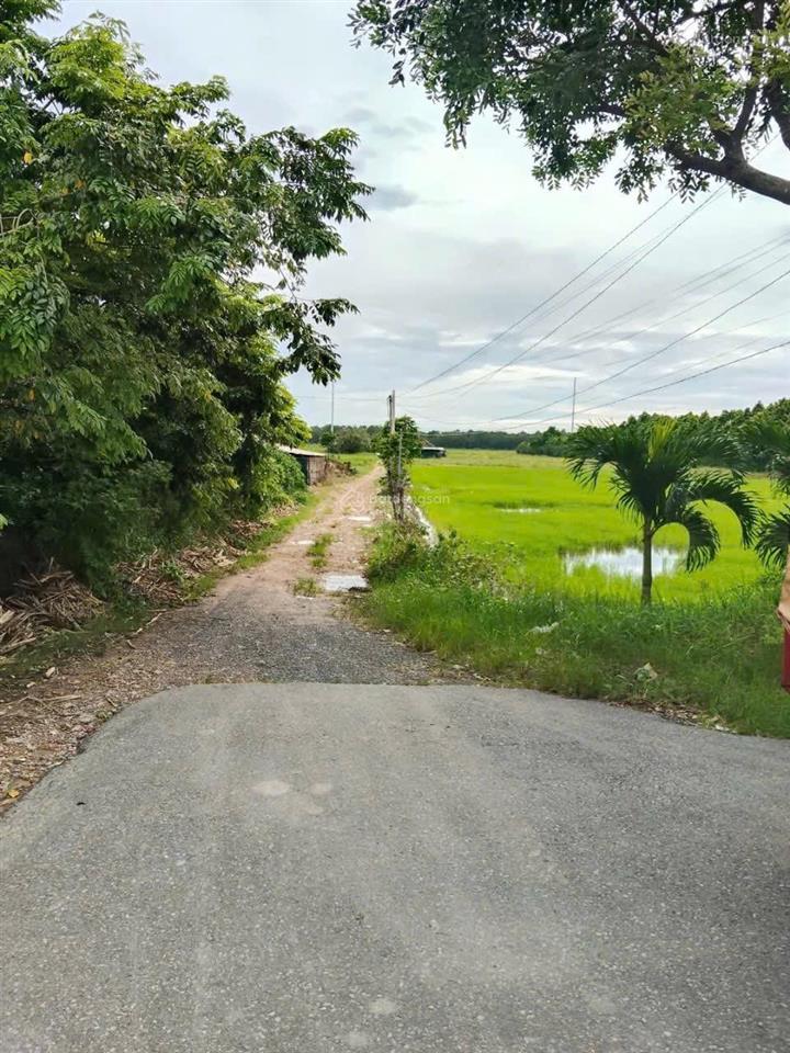 Bán 1,6 hecta đất ở xã xuân thới thượng, hóc môn, hồ chí minh giá 2,5tr/1m