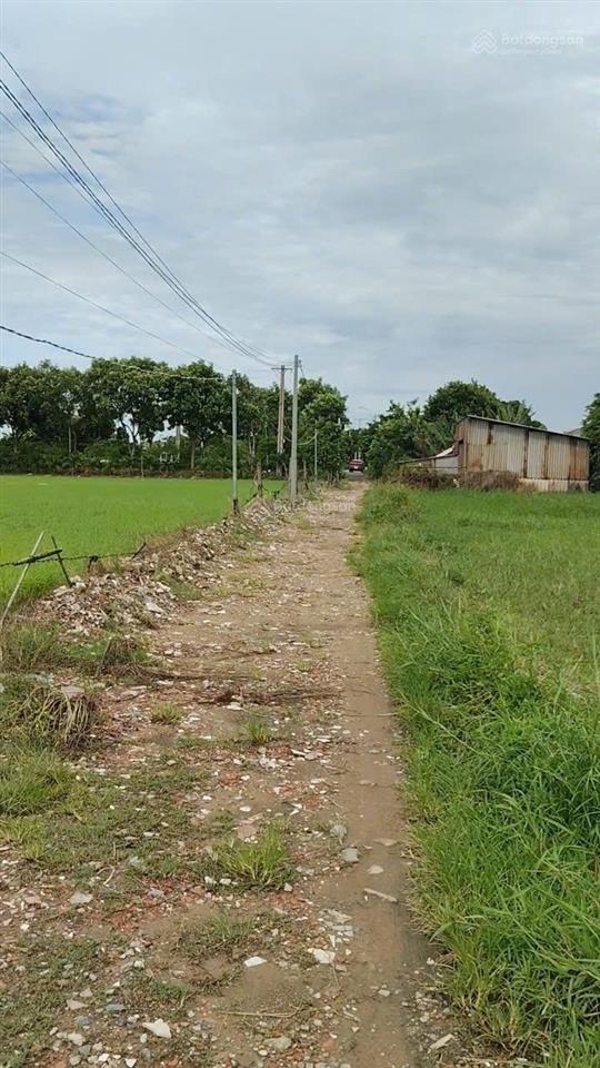 Bán 1,6 hecta đất ở xã xuân thới thượng, hóc môn, hồ chí minh giá 2,5tr/1m