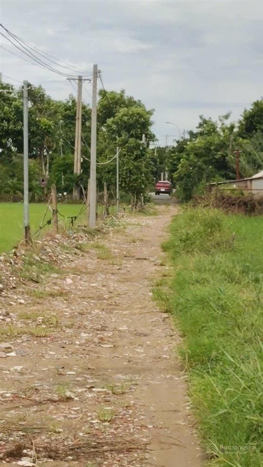 Bán 1,6 hecta đất ở xã xuân thới thượng, hóc môn, hồ chí minh giá 2,5tr/1m