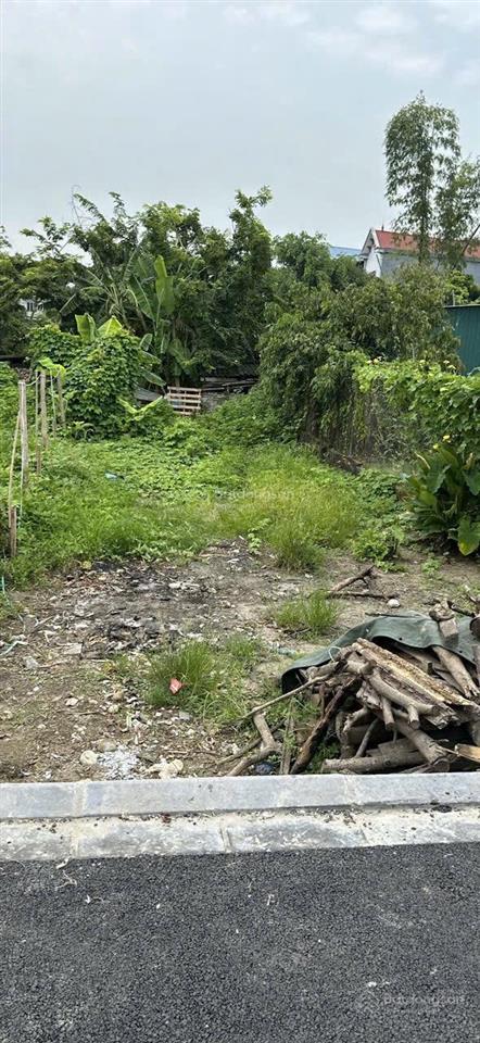 Bán đất giãn dân. lý nhân  xã đông anh (xã dục tú cũ) dt 120m2. vuông vắn. rộng 5.72m