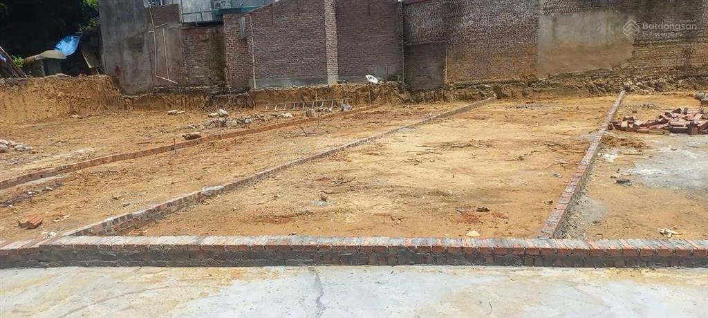 Bán 1 lô lô đất 3.650 tỷ. anh em nhanh lên mua ngay kèo hết cơ hội  đất xóm mít, cổ loa