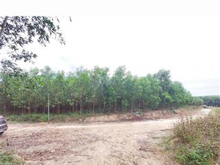 Bán đất thôn hòn dù, xã khánh nam, khánh vĩnh, khánh hòa, 499 triệu, 2055m2