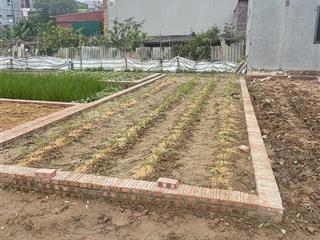 Bán đất đình trung xuân nộn, đông anh, hà nội,46,8 m2