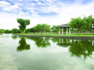 Bán nhanh 01 căn đơn lập diện tích 300m2. vị trí trung tâm, đường rộng thoáng. giá 15x tr/m2