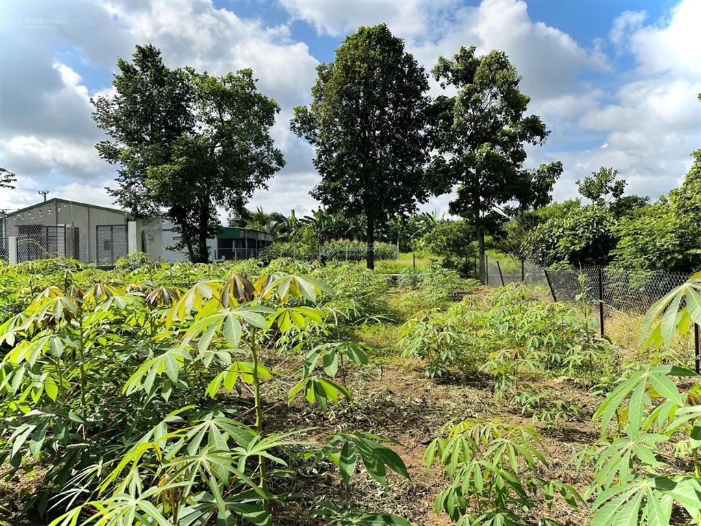 2 lô liền kề thôn 8 cưebur (phường bmt)  5 x 22m (thổ cư 100%)  720 triệu/lô