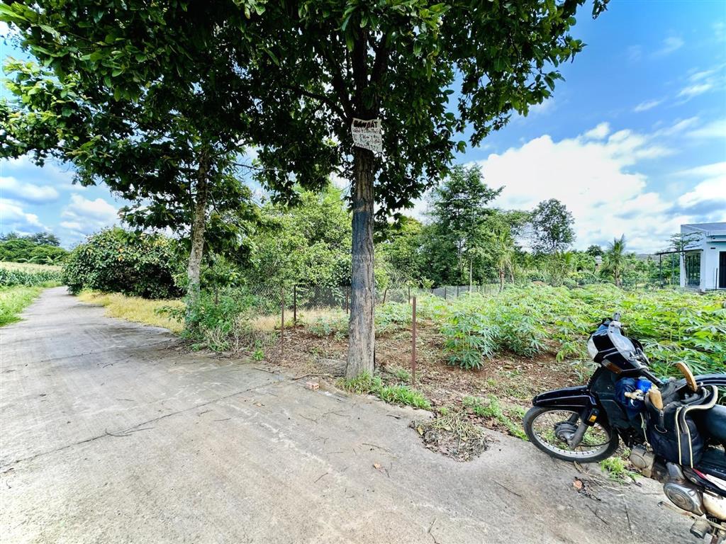 2 lô liền kề thôn 8 cưebur (phường bmt)  5 x 22m (thổ cư 100%)  720 triệu/lô