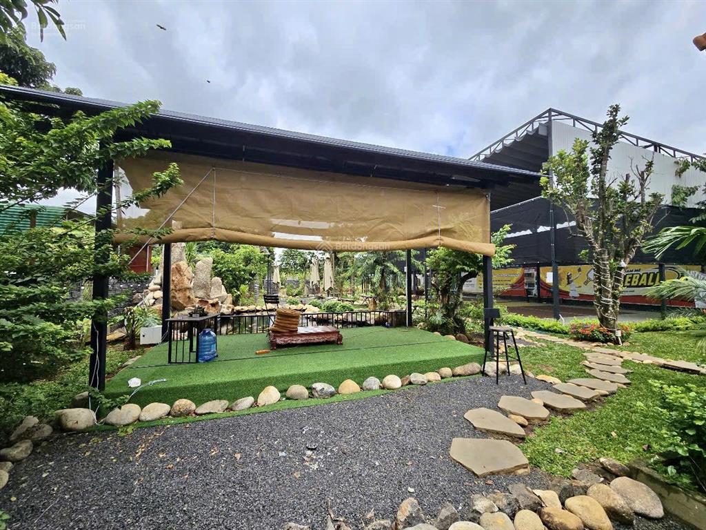 Cho thuê khu tổ hợp quán cà phê + sân pickleball + nhà vườn + hồ cá