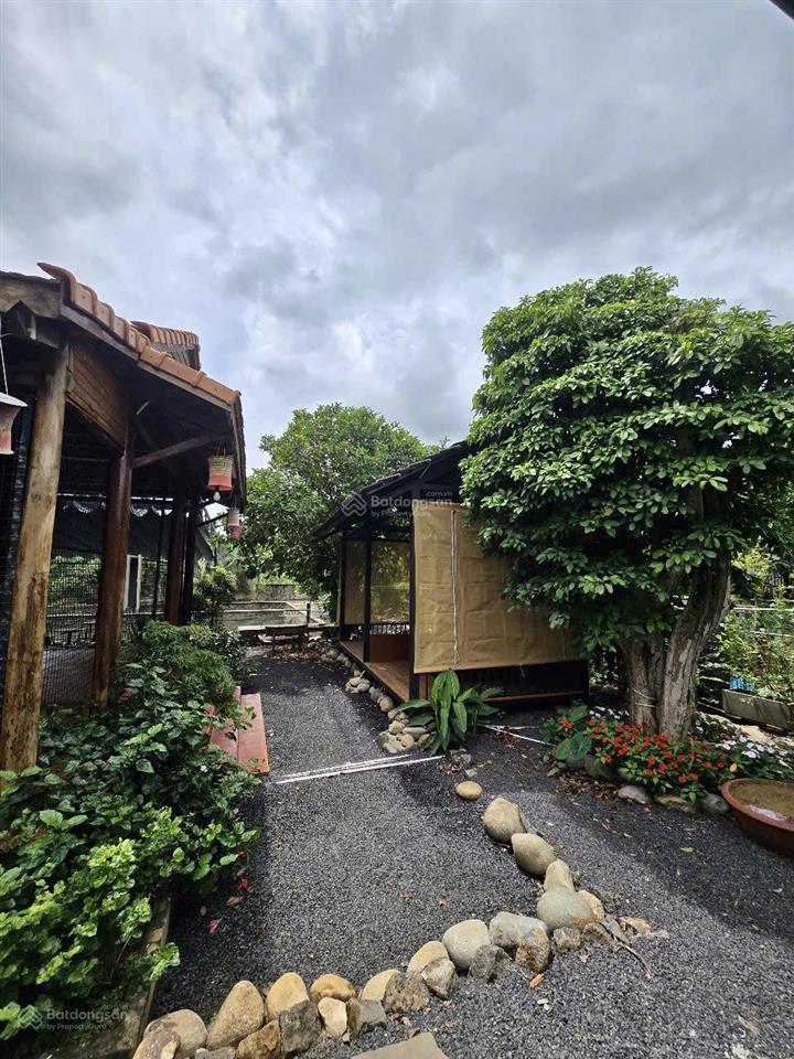 Cho thuê khu tổ hợp quán cà phê + sân pickleball + nhà vườn + hồ cá