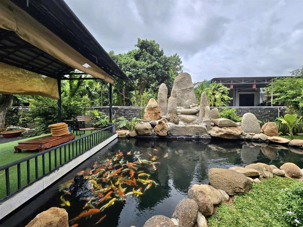 Cho thuê khu tổ hợp quán cà phê + sân pickleball + nhà vườn + hồ cá