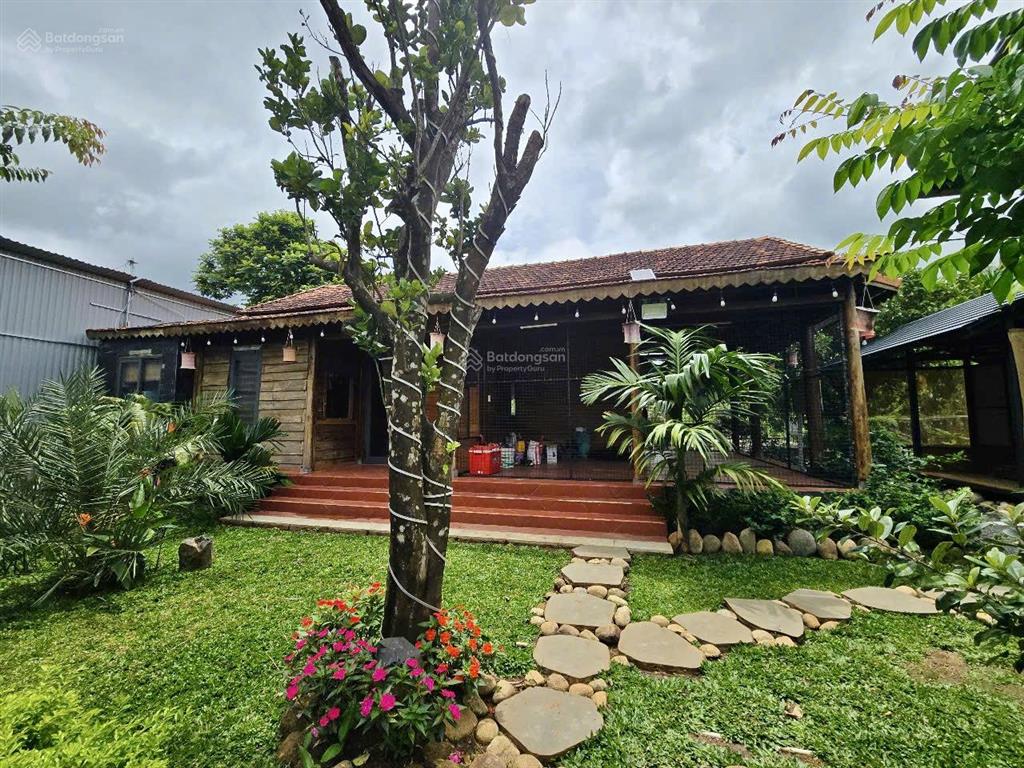 Cho thuê khu tổ hợp quán cà phê + sân pickleball + nhà vườn + hồ cá